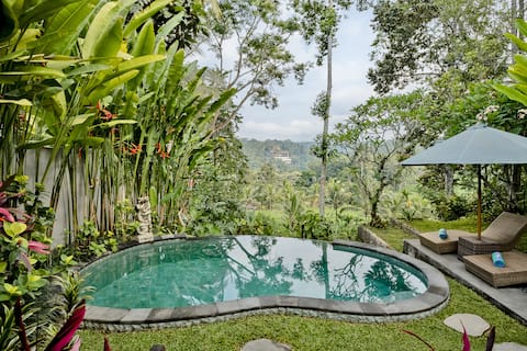 Stunning Wooden Villa With Infinity Pool