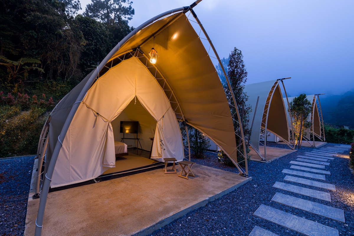 Several elegant glamping tents are arranged along a stone pathway, set against a misty backdrop. Each tent features a private deck area and is illuminated gently by hanging lights. Lush greenery surrounds the tents, enhancing the natural ambiance of the environment.