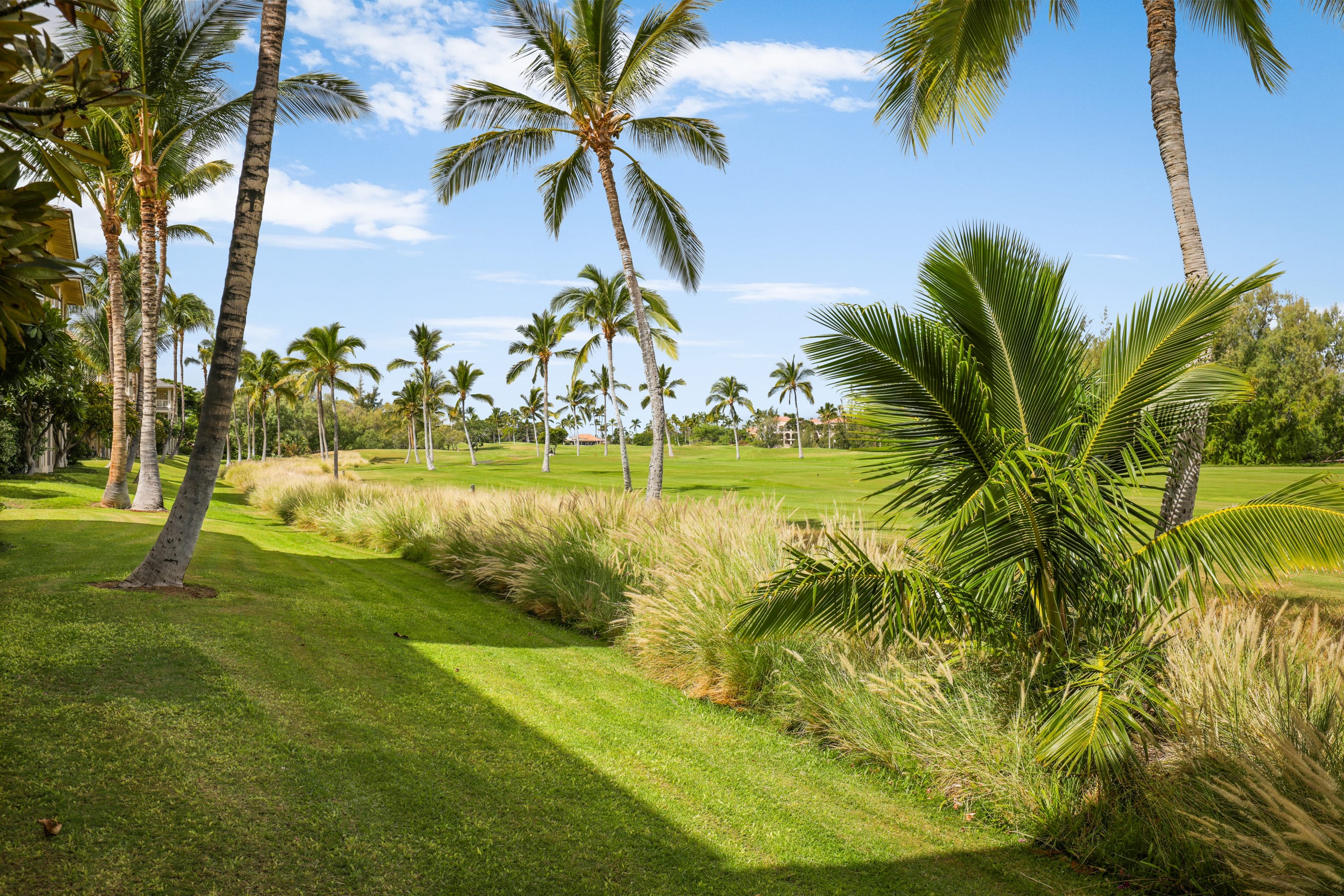 Fairway Villas Waikoloa Unit E-4 Golf View 2BD/2BA - Photo 35