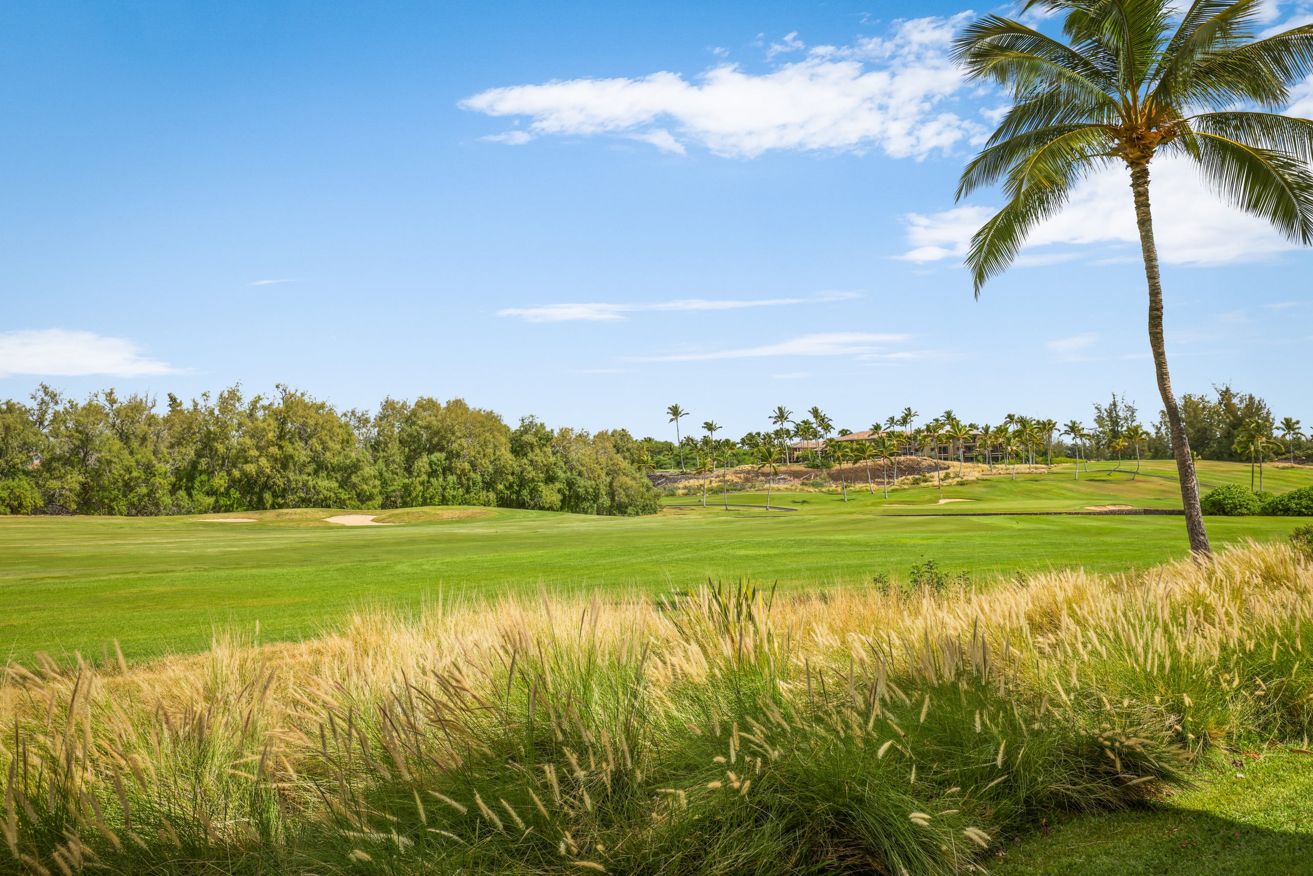 Fairway Villas Waikoloa Unit E-4 Golf View 2BD/2BA - Photo 36