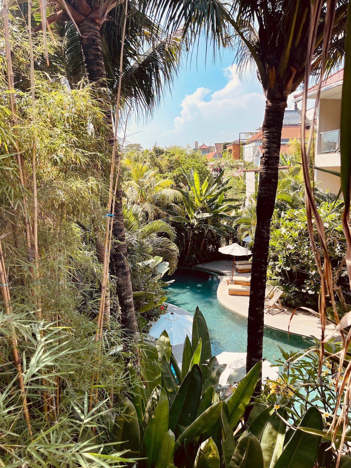 A serene view of a winding pool nestled among lush greenery, framed by tall palms and tropical plants. Loungers are visible alongside the pool, creating a relaxing atmosphere. The sky above is clear with scattered clouds, enhancing the tropical surroundings.