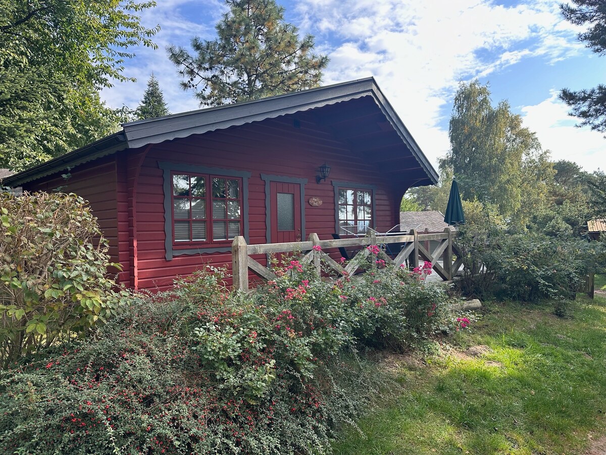 A charming wooden cottage features a red exterior with characteristic window frames and a welcoming front porch. Surrounded by lush greenery and flowering shrubs, the serene setting includes seating arrangements and a sun umbrella for outdoor enjoyment.