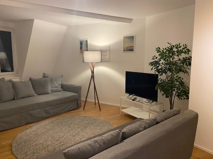 1br Apartment In Wiedikon-zurich - Zürich