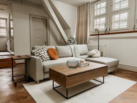 Successful Airbnb property: JustSunny–Stylish Maisonette Heart of City&OldTown in Basel