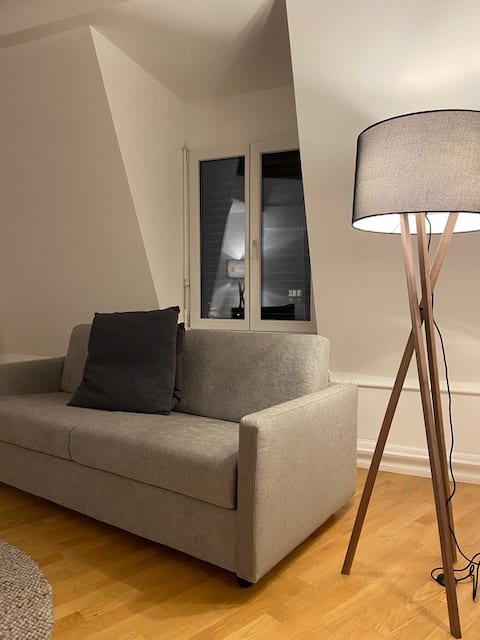 Top Airbnb: 3 BR Duplex in Zurich-Wiedikon in Alt Wiedikon
