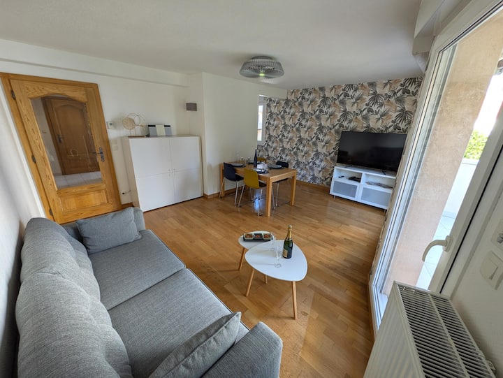 Appartement Colmar Centre Ville - Colmar