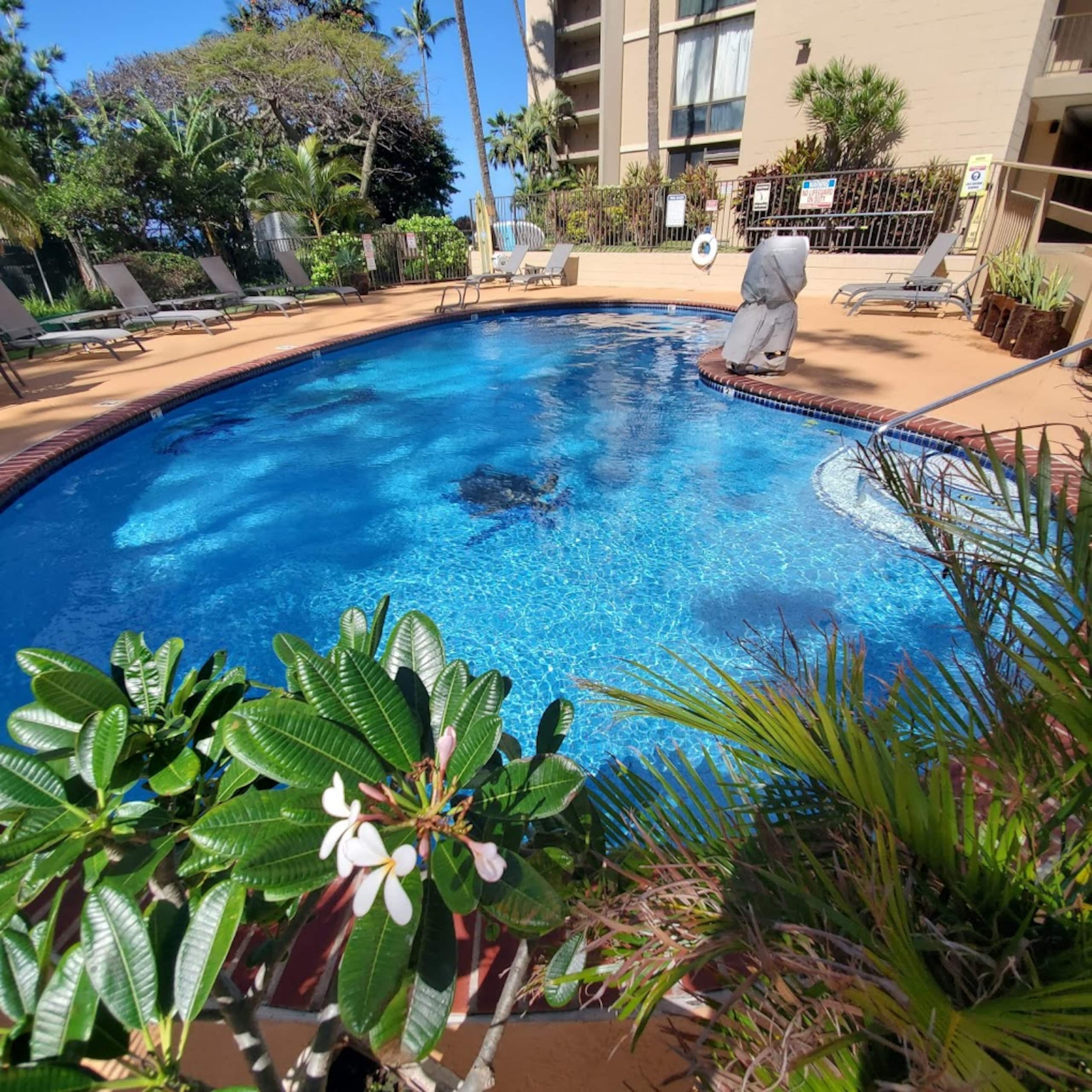 Condo in Lahaina · ★5.0 · 1 bedroom · 1 bed · 1 bath - Image 61