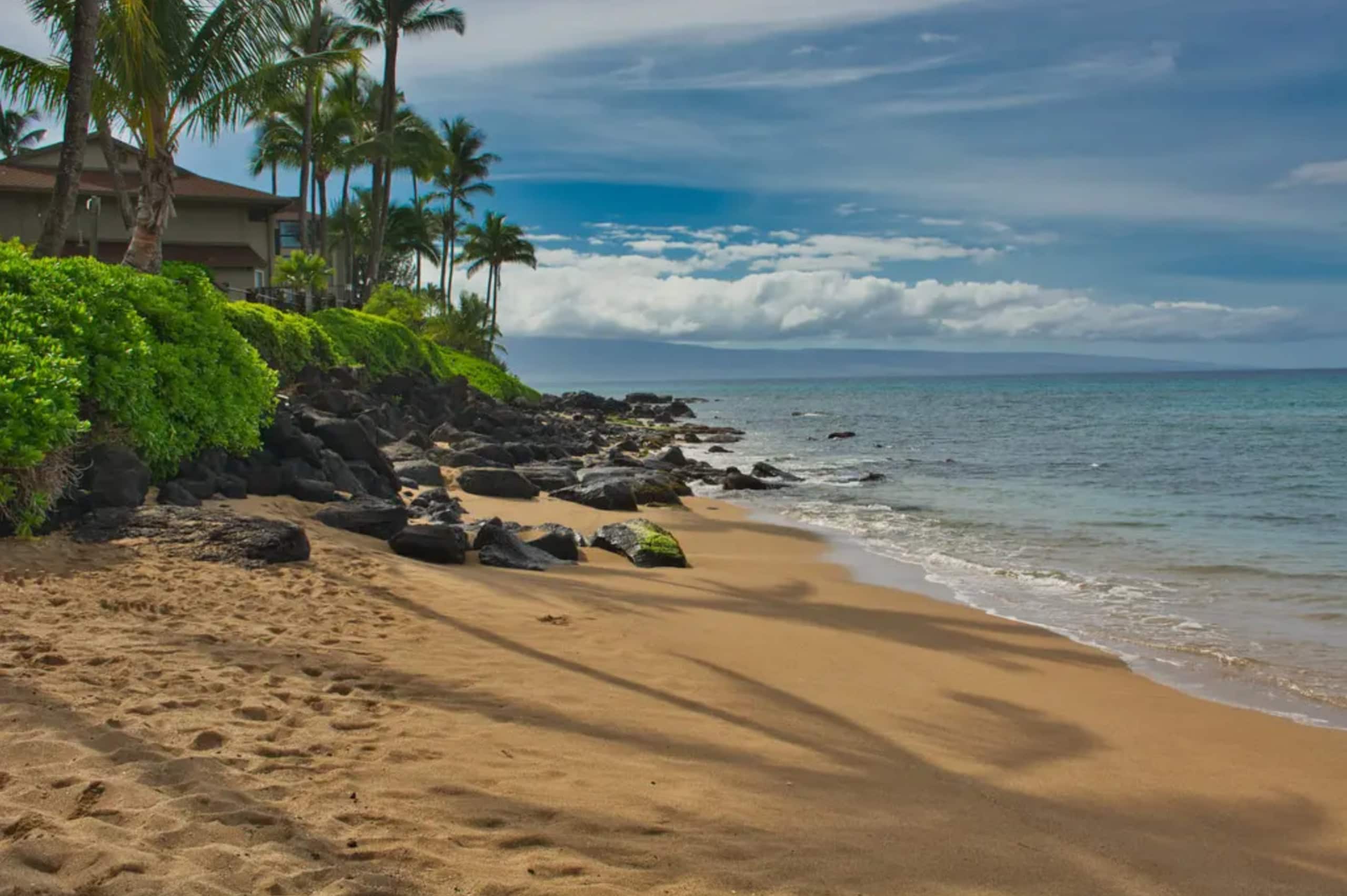 Condo in Lahaina · ★5.0 · 1 bedroom · 1 bed · 1 bath - Image 73