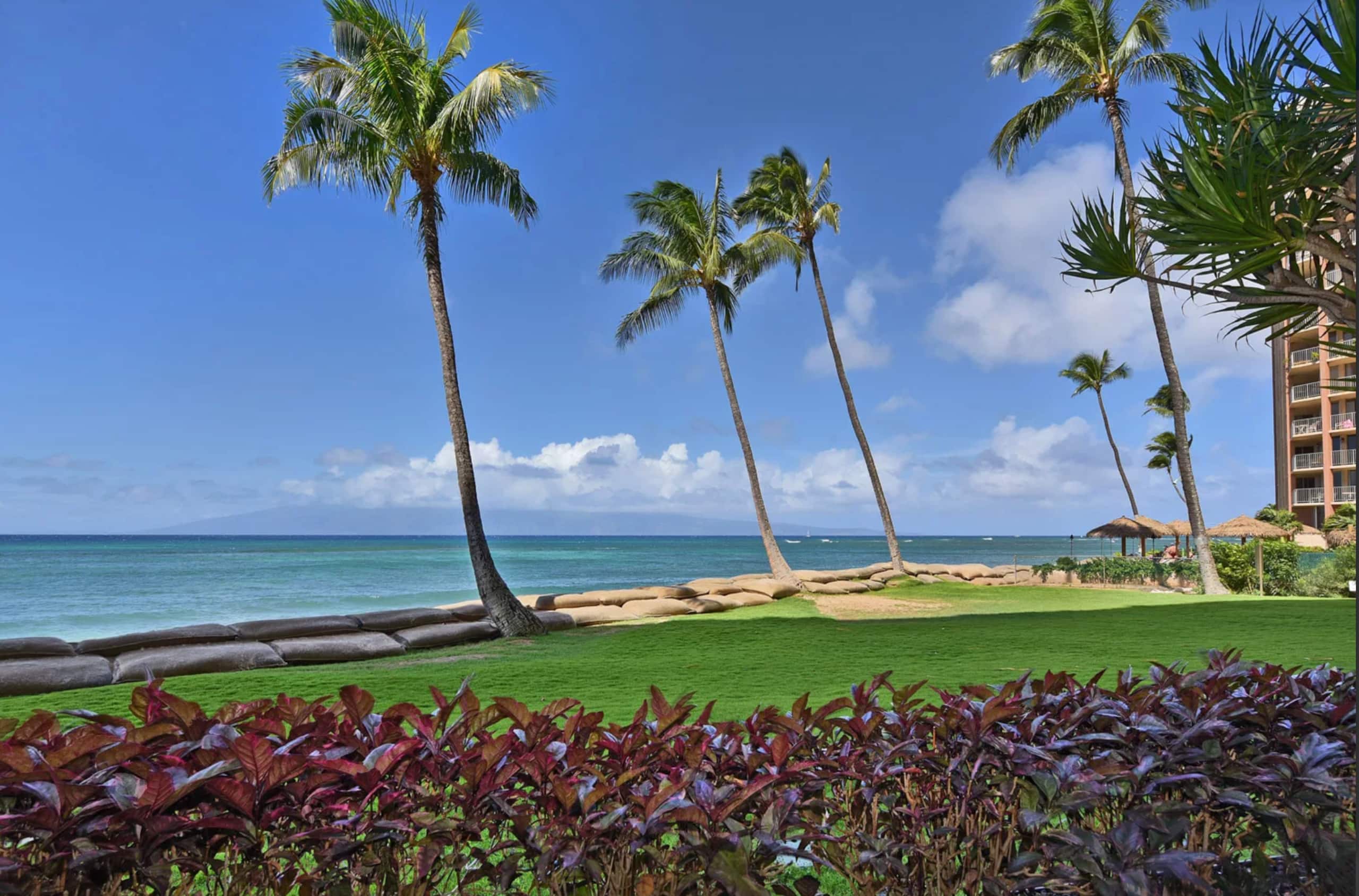 Condo in Lahaina · ★5.0 · 1 bedroom · 1 bed · 1 bath - Image 46
