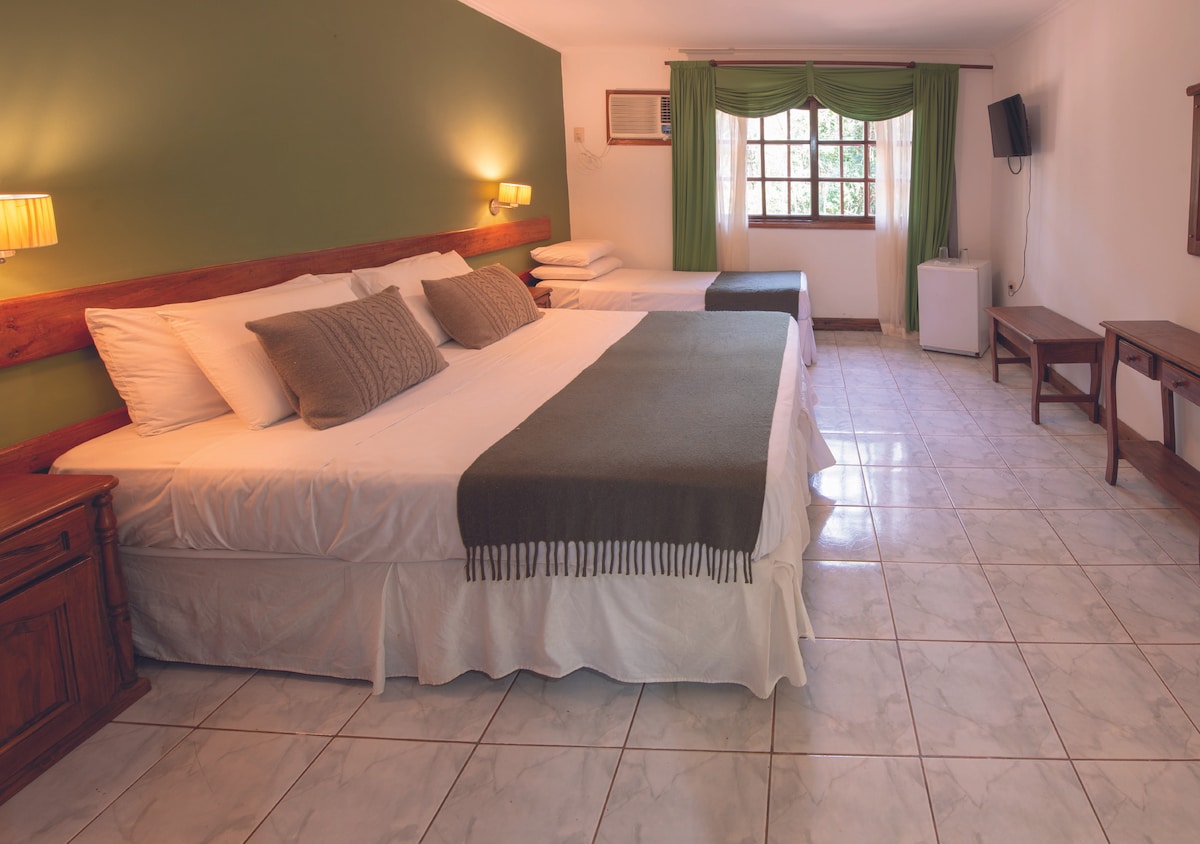 A spacious sleeping area is shown, featuring two beds with neutral-toned linens. A green accent wall adds a touch of color. Natural light enters through a window with sheer curtains, and a small refrigerator is visible in the corner, along with a wall-mounted TV.