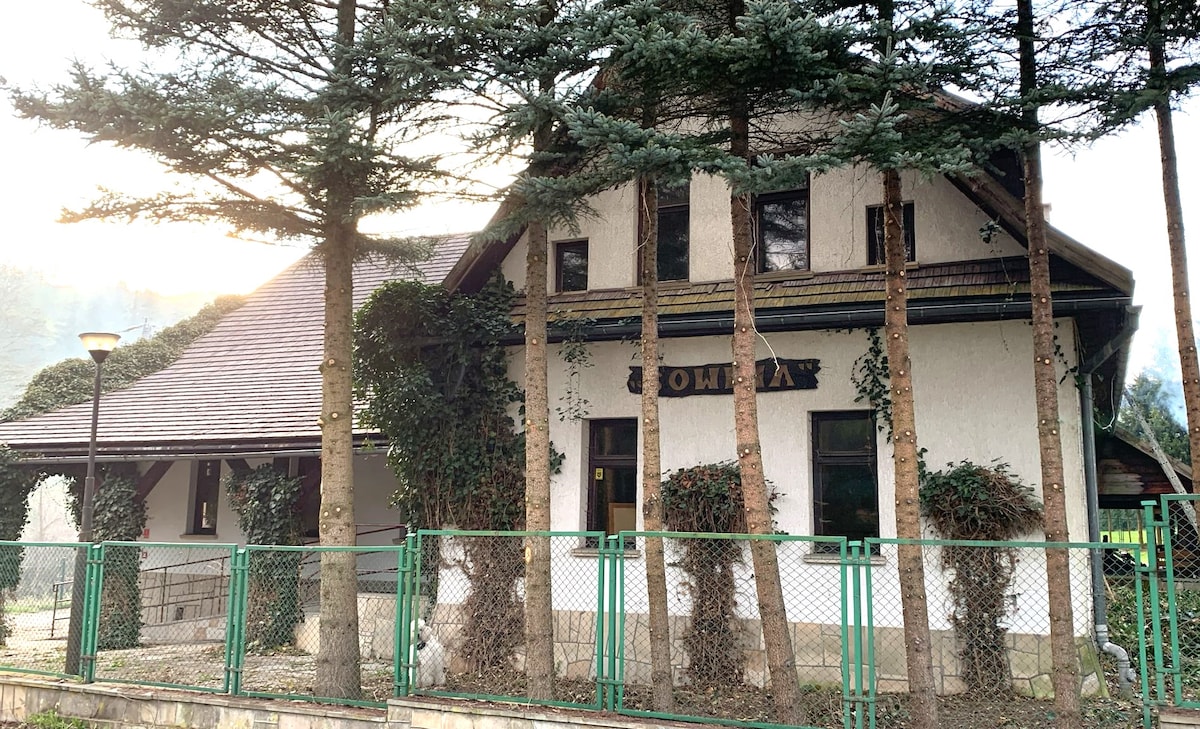 A charming building from 1860 is surrounded by tall conifer trees, which provide a natural backdrop. The exterior showcases a combination of white walls and a sloped roof, with large windows allowing for ample natural light. A green fence encloses the property.
