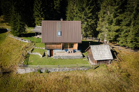 A small cabin in the woods