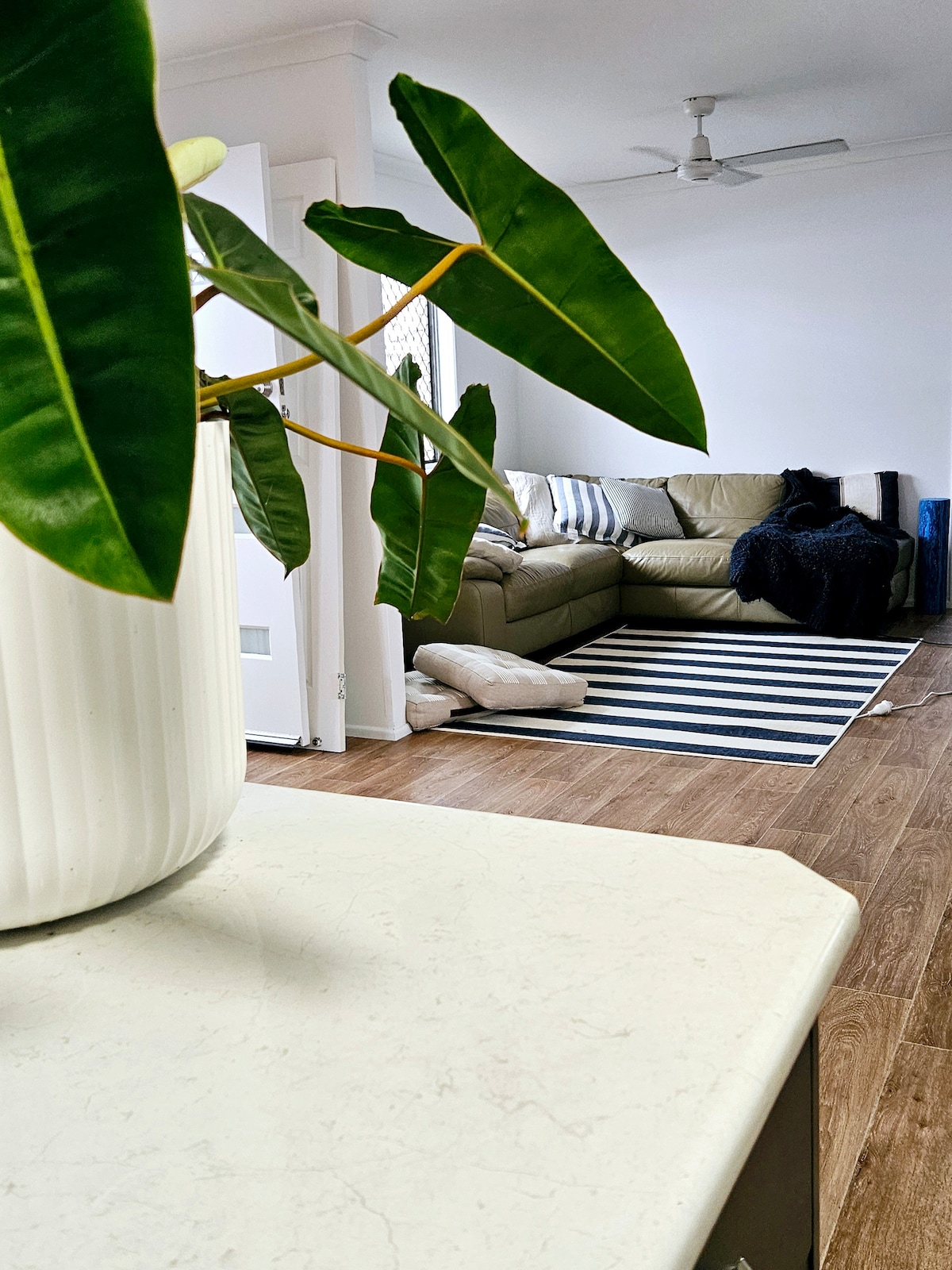 A spacious living area is displayed, featuring a comfortable sectional sofa with neutral tones. A striped rug is laid on the floor, while a large potted plant in the foreground adds a touch of greenery. Natural light is introduced through nearby windows, enhancing the inviting space.