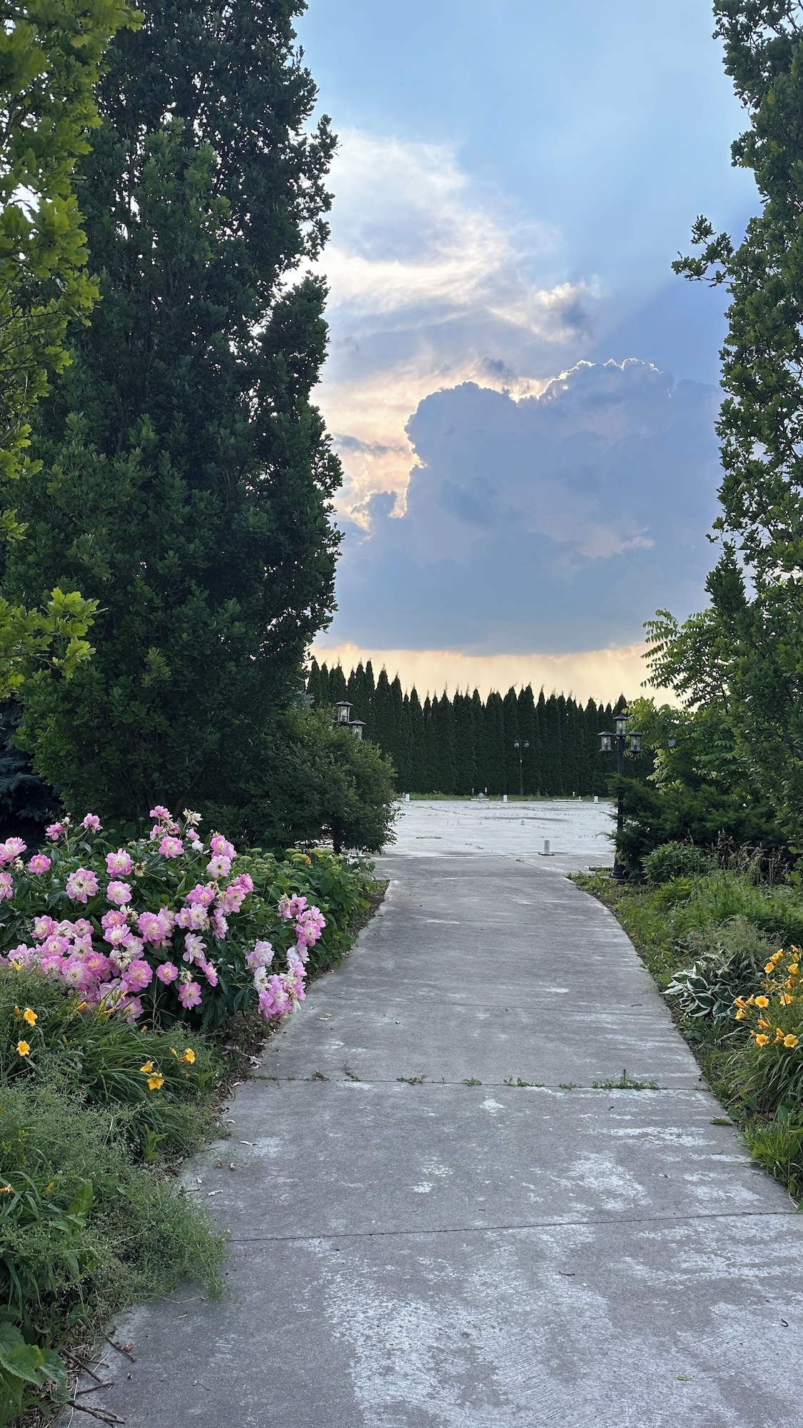 A stone pathway winds through a garden, lined with blooming flowers in shades of pink and yellow. Tall shrubs frame the path, leading towards a distant structure under a dynamic sky with clouds, hinting at an upcoming sunset.