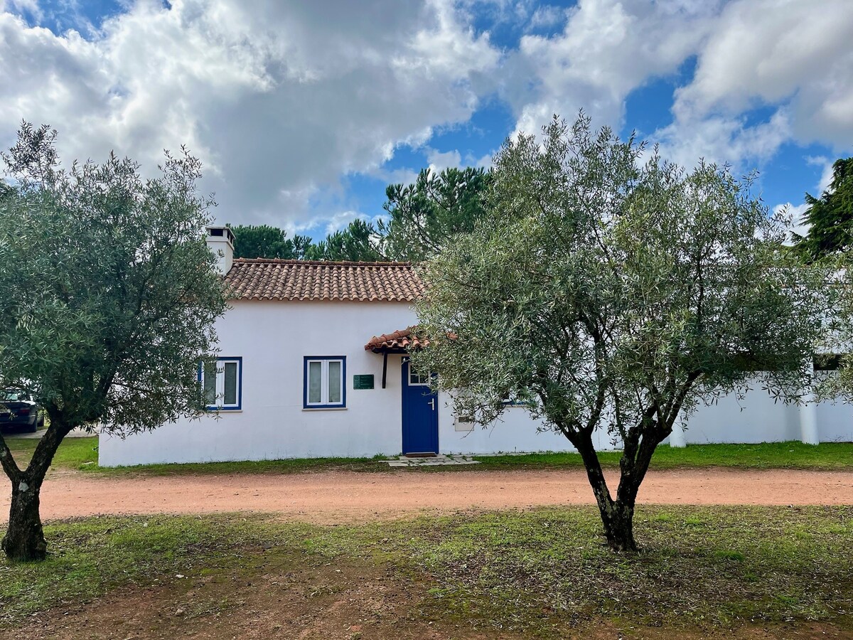A charming white house with a tiled roof is framed by two olive trees in the foreground. The entrance features a blue door, while two small windows complement the exterior. A sandy path leads to the house, surrounded by greenery.