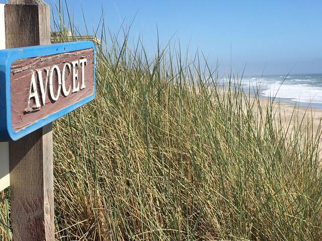 At the Beach! Insanely Great! Pajaro Dunes gallery image 4