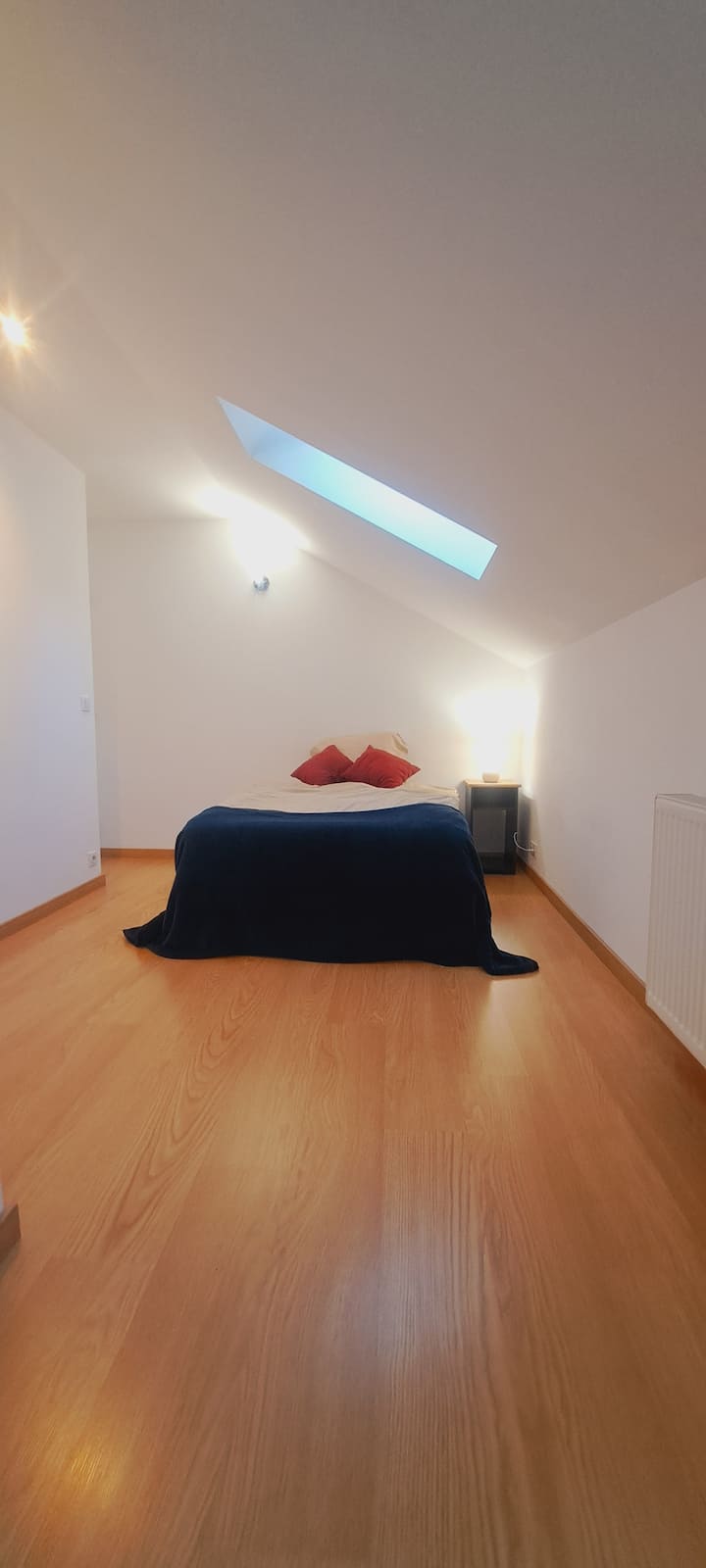 Amplia habitación equipada con una cama de 120 cm y acceso a un baño compartido. Armario y varios espacios de almacenamiento disponibles.