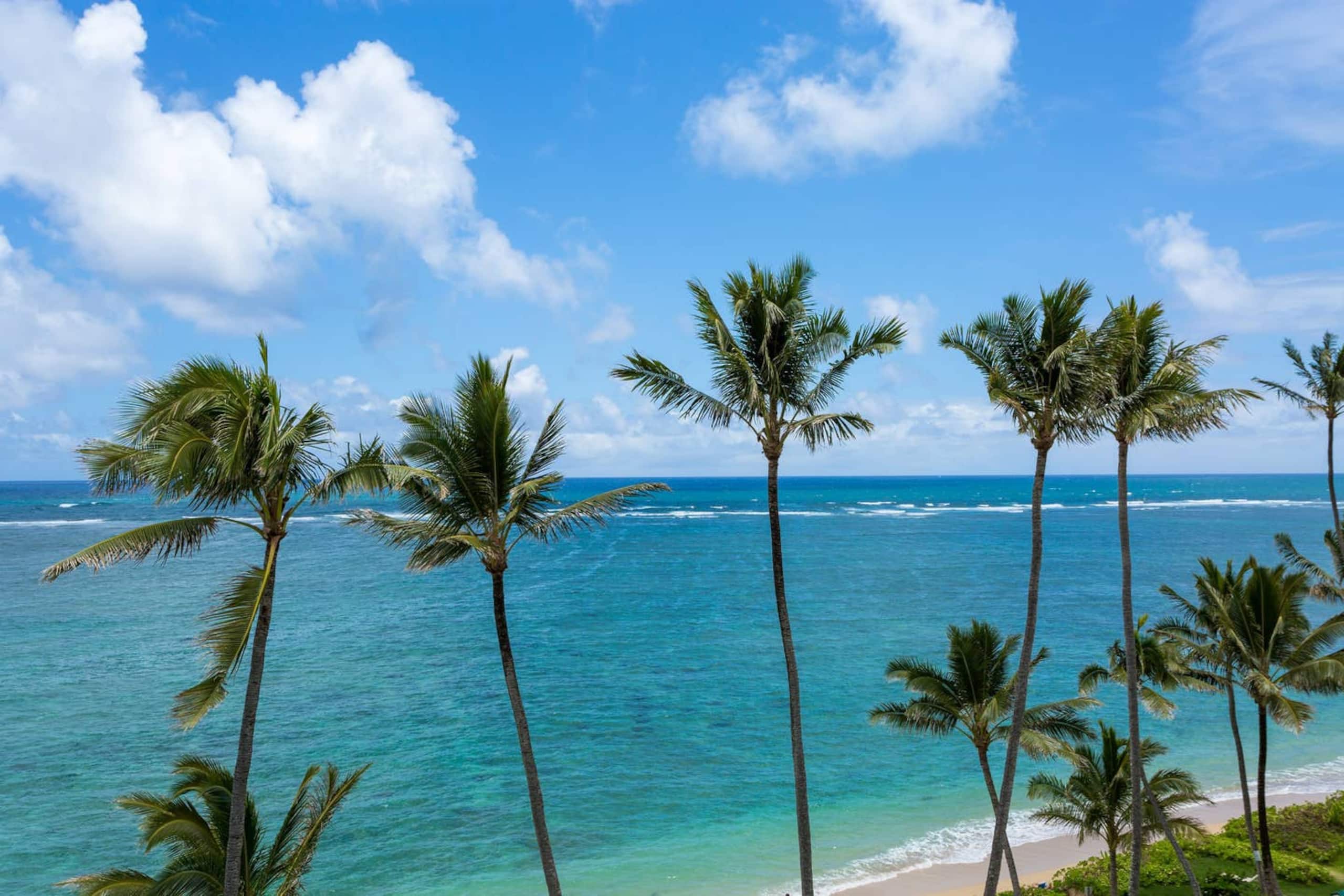 Condo in Hauula · ★4.42 · 4 bedrooms · 6 beds · 5.5 private baths - Image 24