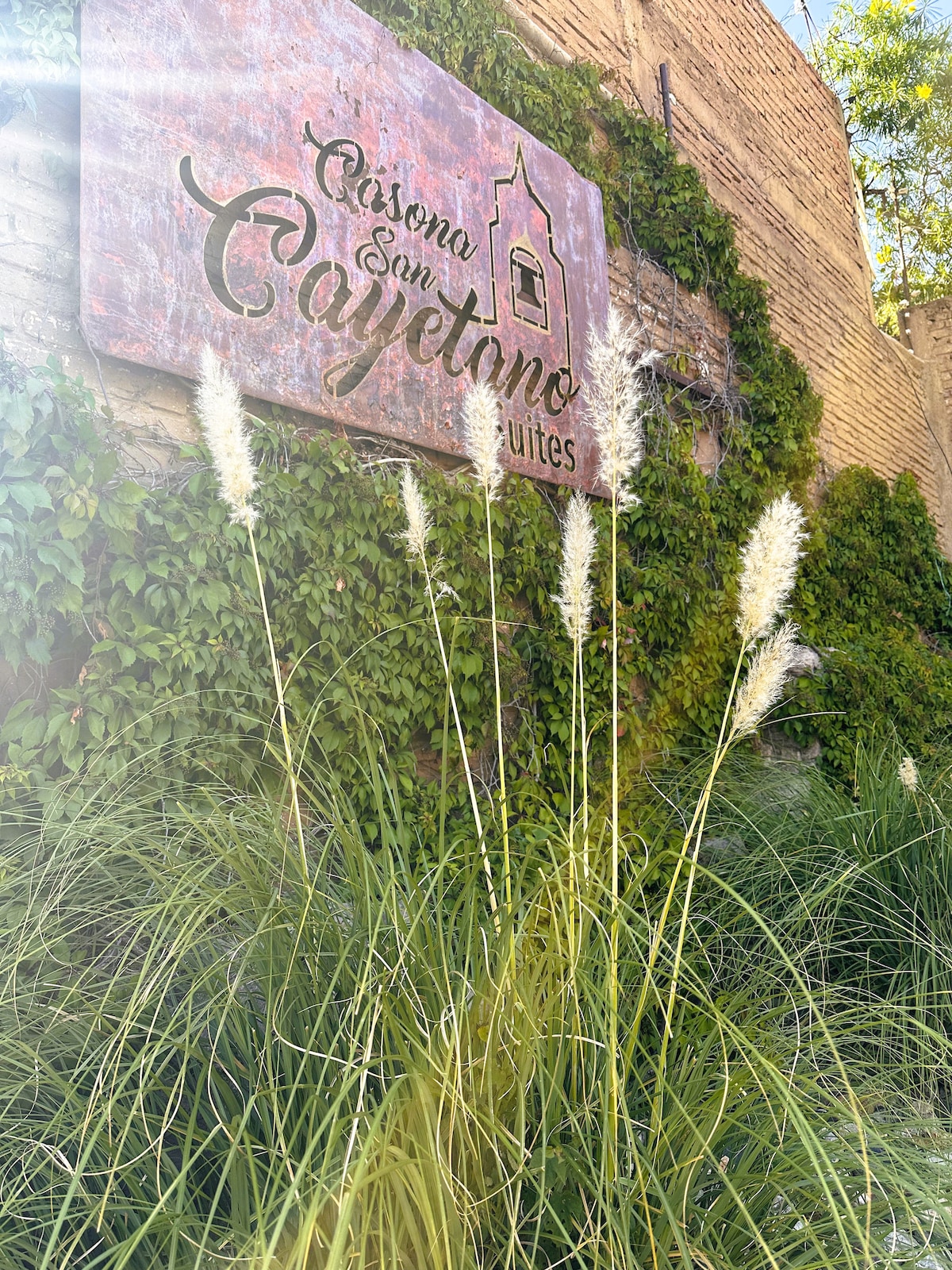 A rustic sign reading 'Posada San Cayetano Suites' is prominently displayed against a backdrop of lush greenery. Tall, feathery grasses sway gently in the foreground, emphasizing the connection to nature, while the warm tones of the wall add to the inviting ambiance.
