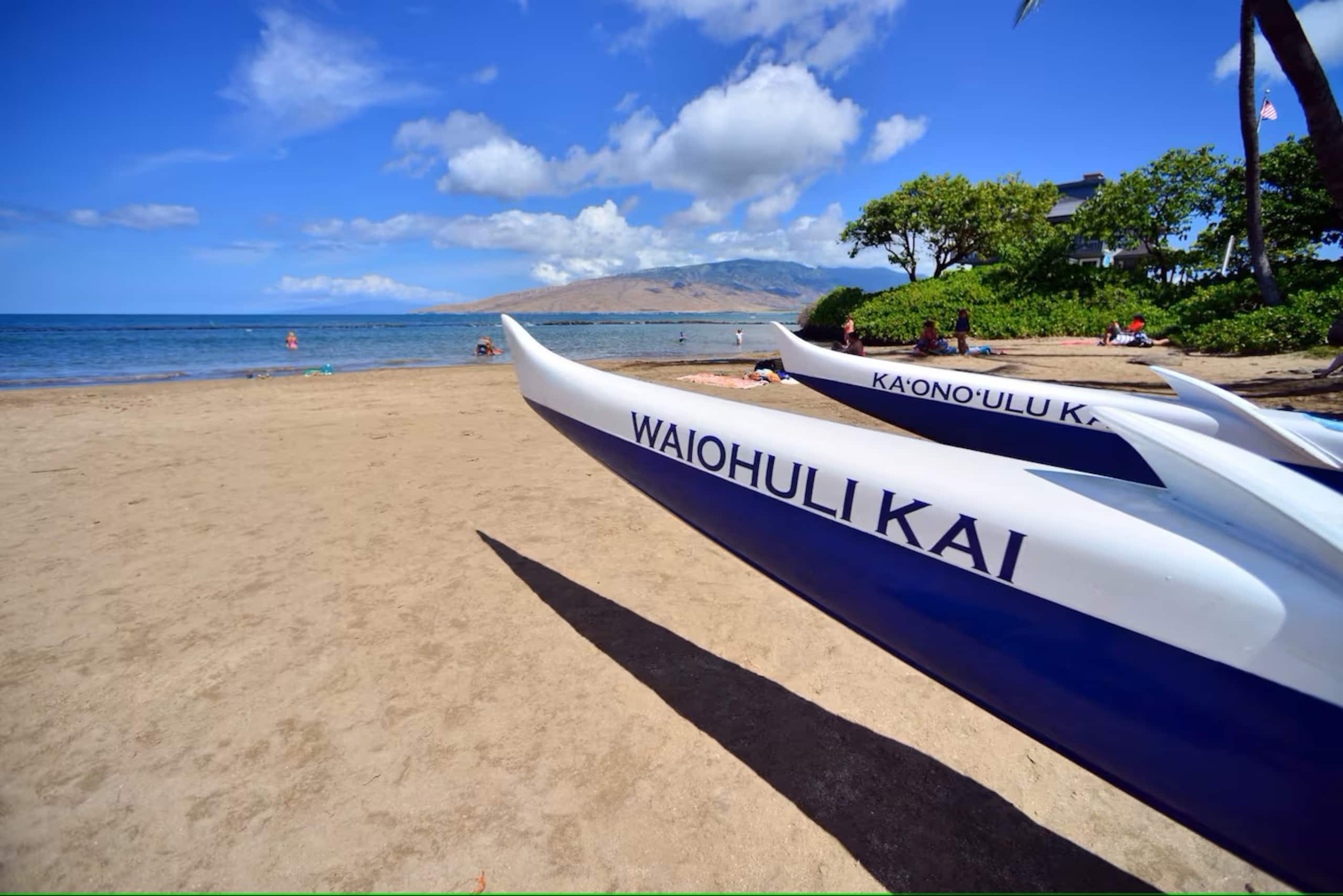 Condo in Kihei · ★4.95 · Studio · 1 bed · 1 bath - Image 25