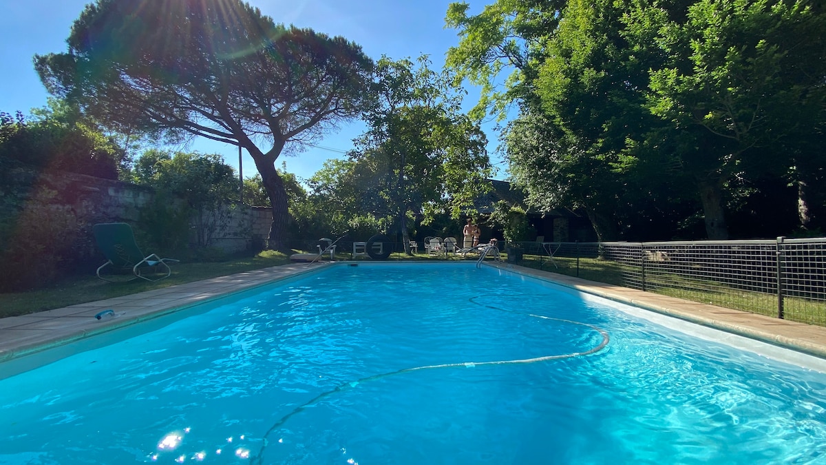 A serene swimming pool is surrounded by lush green trees and well-maintained grass. Lounge chairs are positioned nearby, and sunlight reflects off the clear water. A peaceful ambiance is created by the surrounding nature, inviting relaxation and enjoyment.