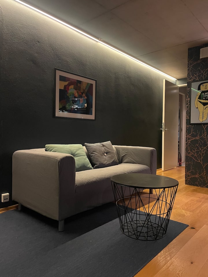 Aurora Art Apartment - Tromsø