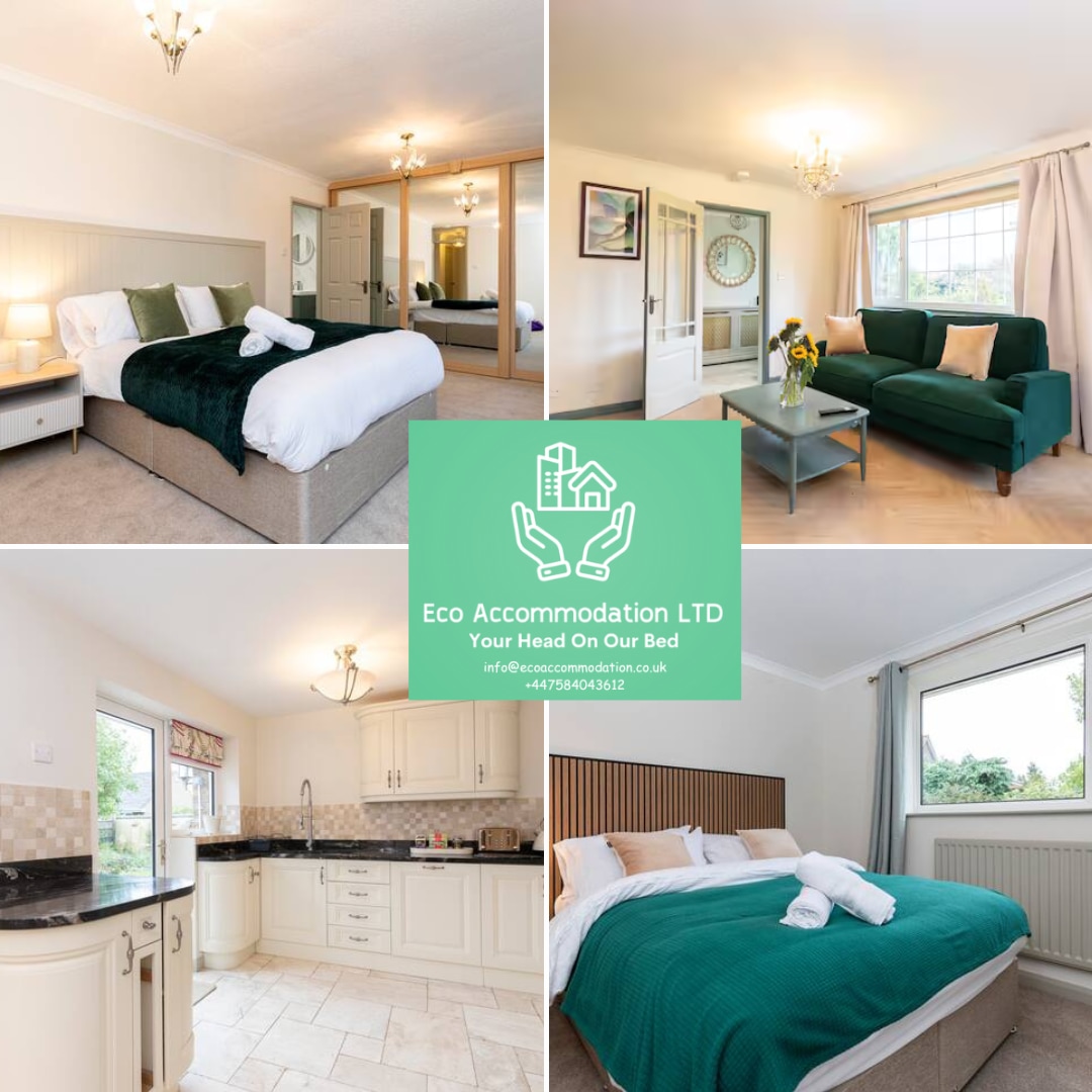 A well-lit bedroom is equipped with a spacious bed dressed in soft linens, complemented by a modern armchair and large mirror. The room's large window invites natural light, while the adjoining kitchen features sleek cabinetry and ample counter space.
