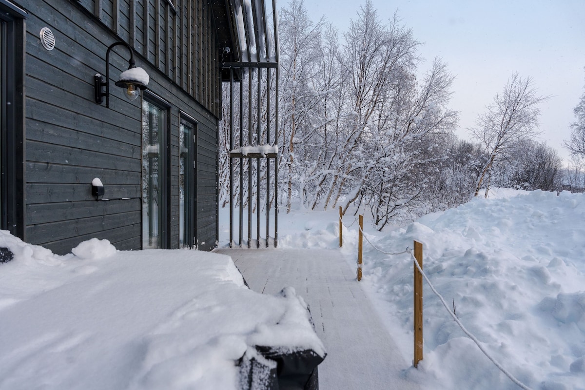 A winter scene is displayed, featuring a path lined with snow and wooden posts leading from the entrance of the modern cabin. Dense white snow blankets the surrounding area, while trees with frosted branches are visible in the background, creating a serene and tranquil atmosphere.