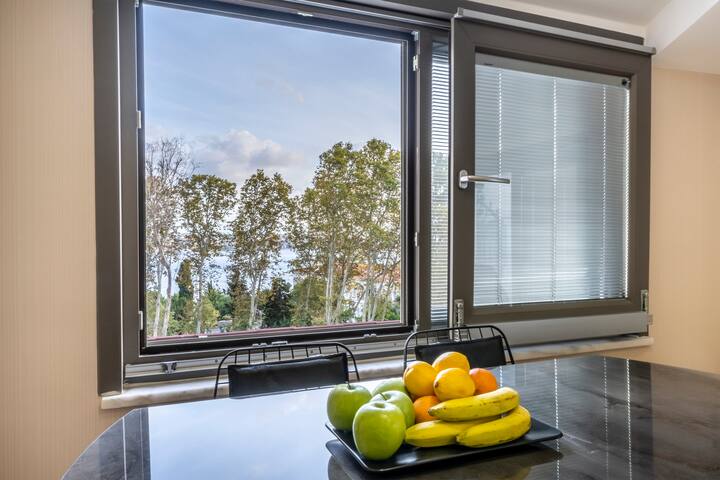 Sea View Terrace Penthouse gallery image 2