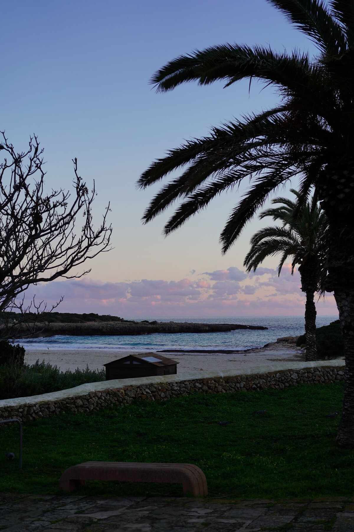 Palm trees are visible along the shoreline, framing a serene view of the ocean under a twilight sky. Softly colored clouds are reflected on the water, while a simple path lined with greenery leads towards the beach.