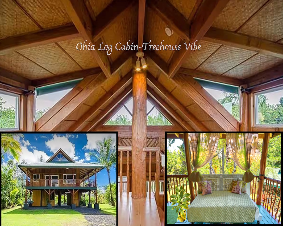 The image showcases a spacious interior of a log cabin with a high, beamed ceiling. Natural light streams in through large windows, surrounded by lush greenery. An inviting outdoor seating area is visible, adorned with soft cushions, blending with the surrounding tropical environment.