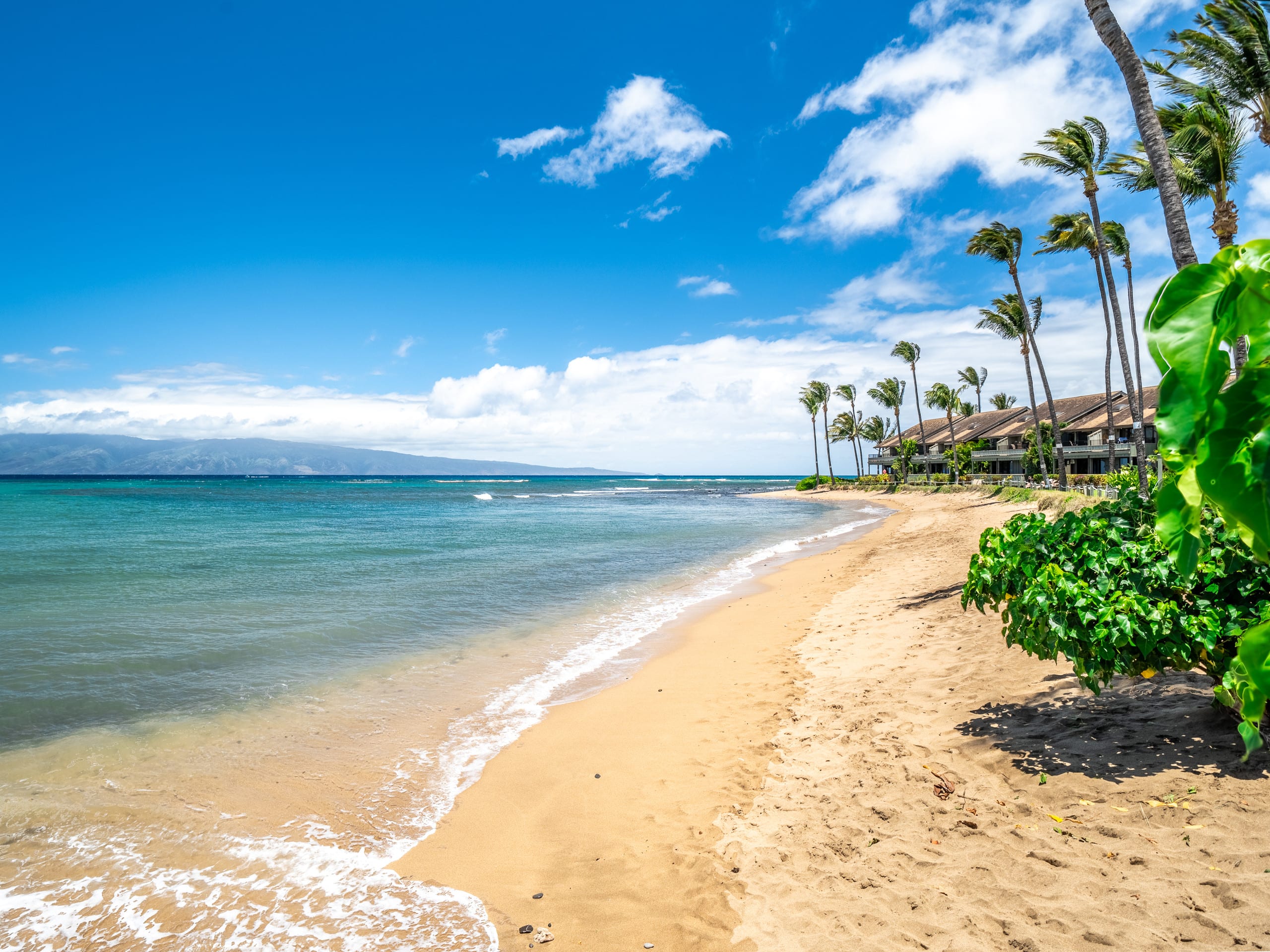 Condo in Lahaina · ★4.8 · 3 bedrooms · 5 beds · 2 private baths - Image 26