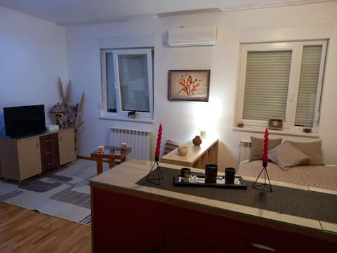 Successful Airbnb property: Andrea and blizini Bul.Kralja Alek. Cvetka Olimpa in Београд