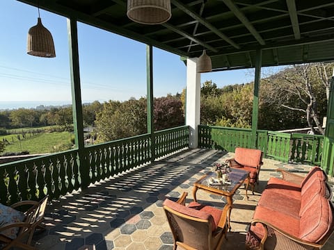 Tervey-villa, Mandula apartman