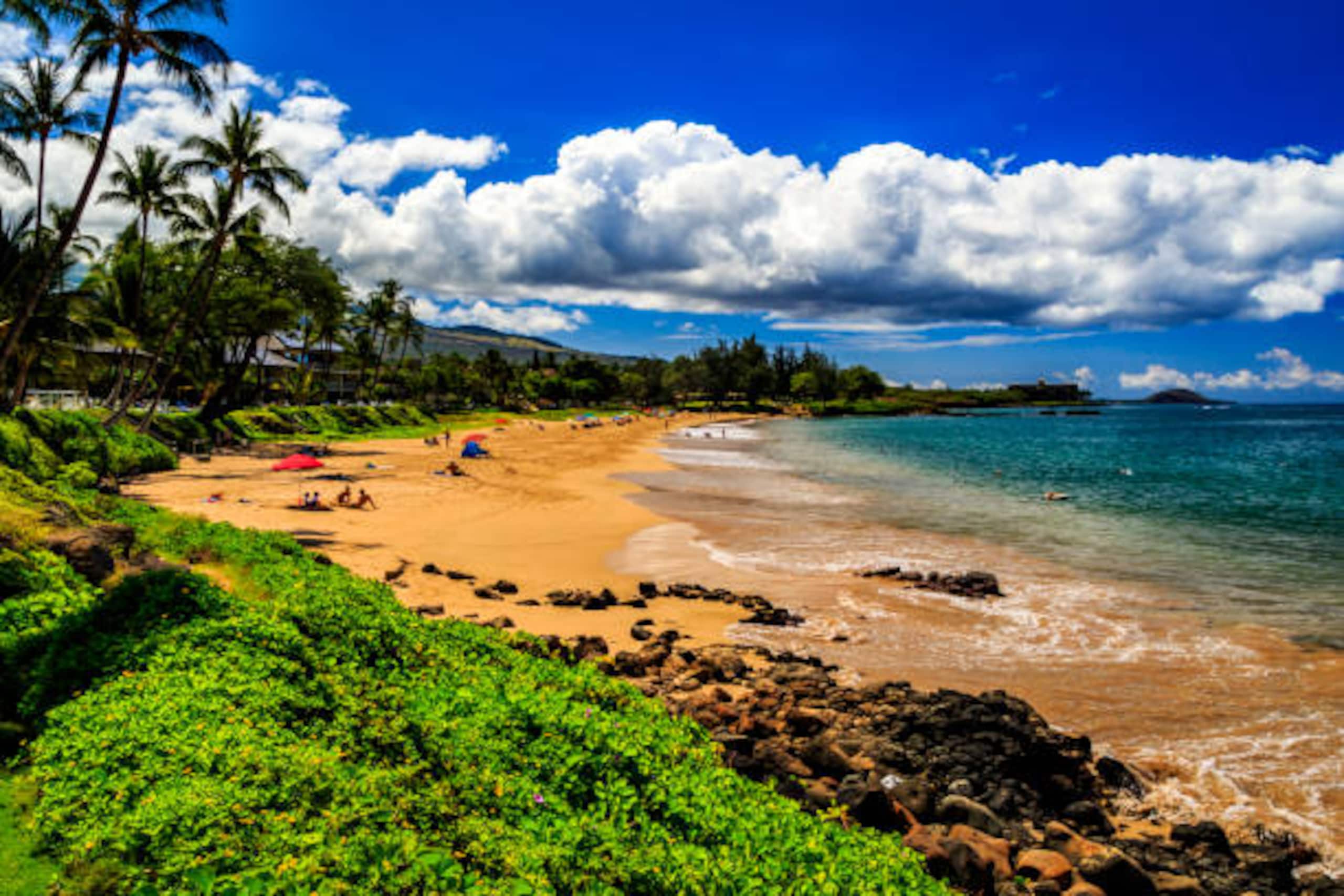 On the beach, South Maui condo - Image 18
