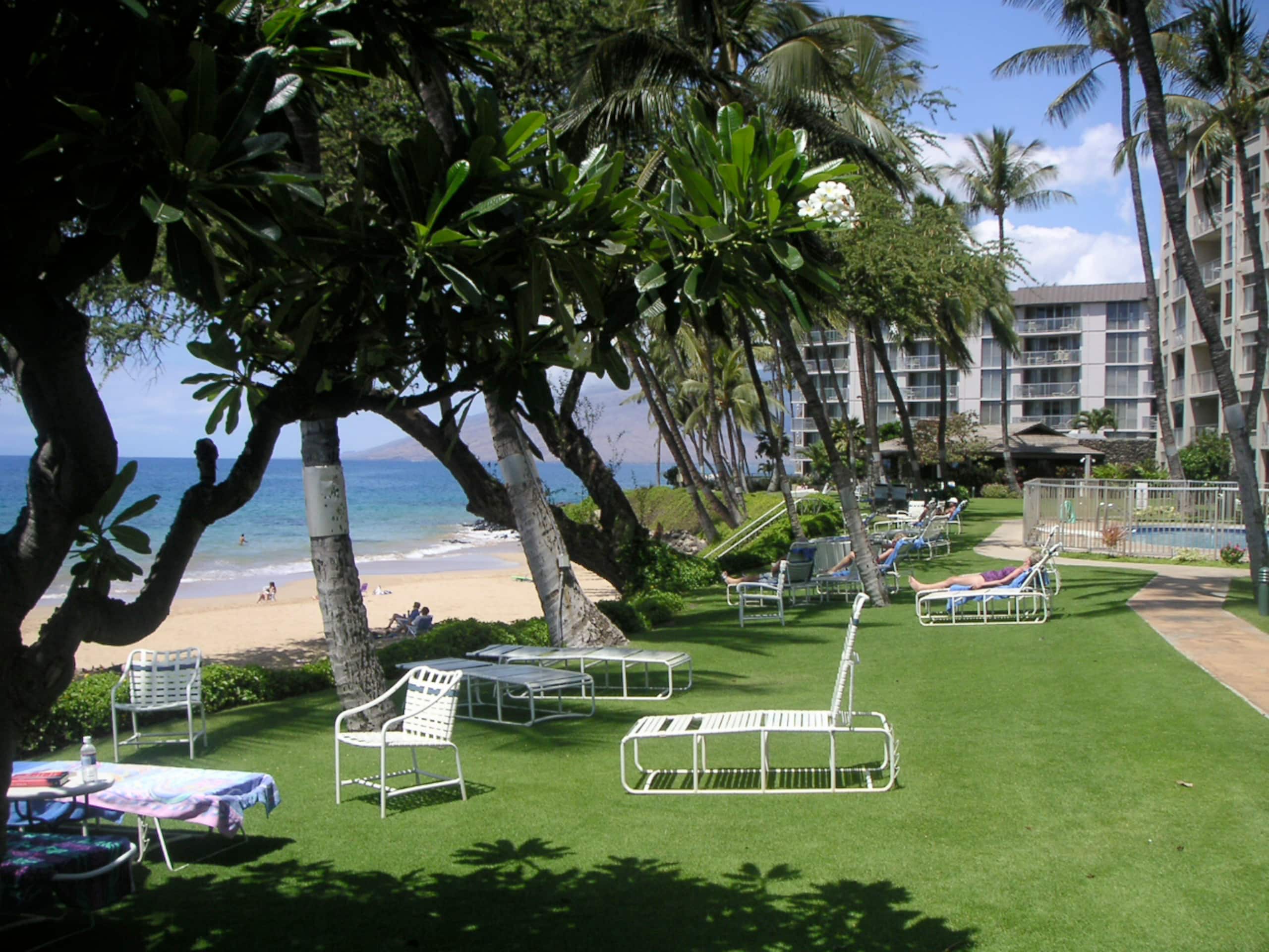 On the beach, South Maui condo - Image 20