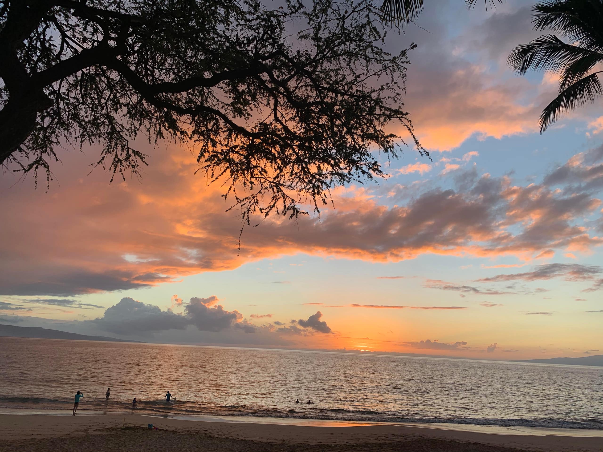 On the beach, South Maui condo - Image 23