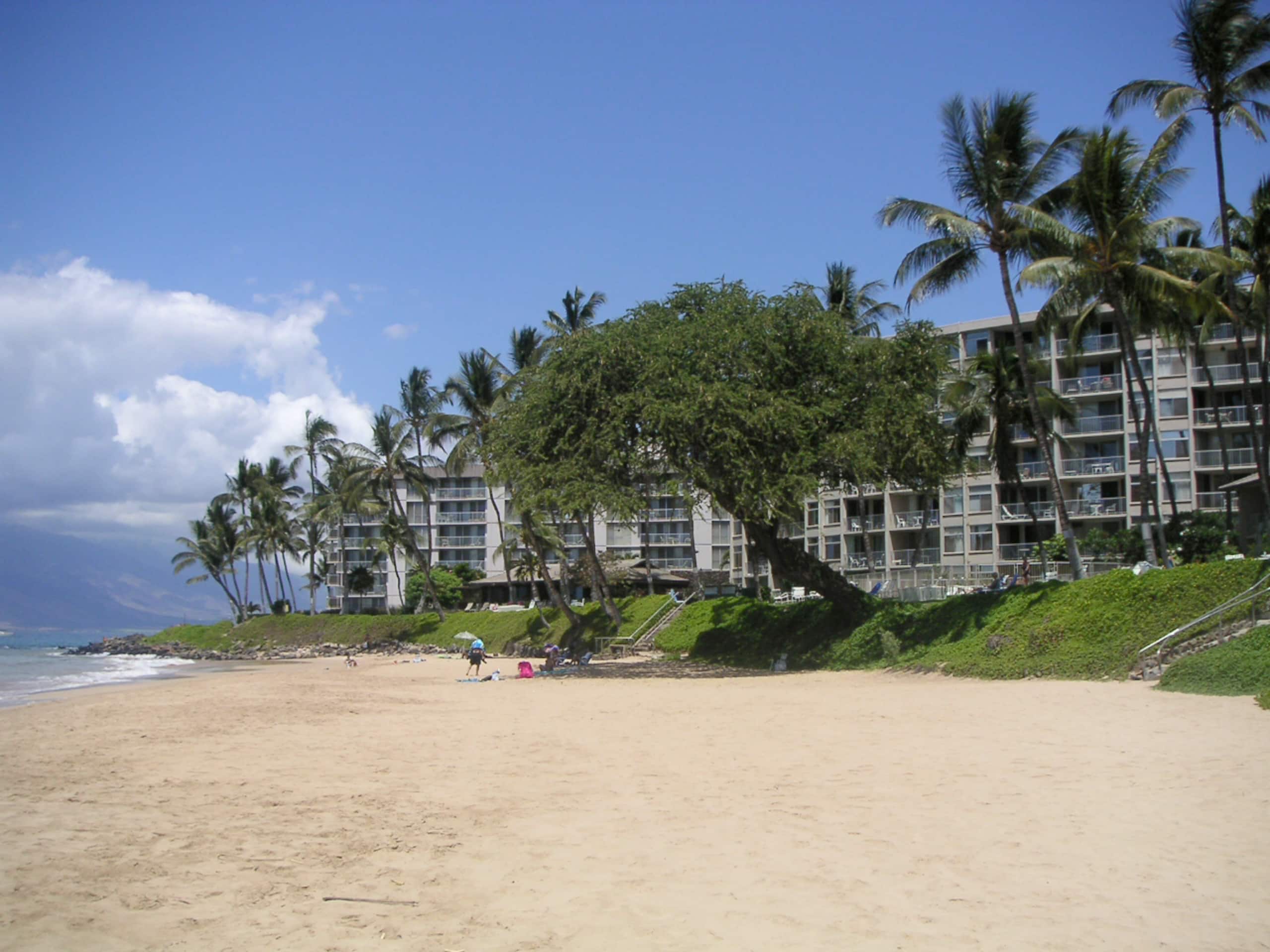 On the beach, South Maui condo - Image 22