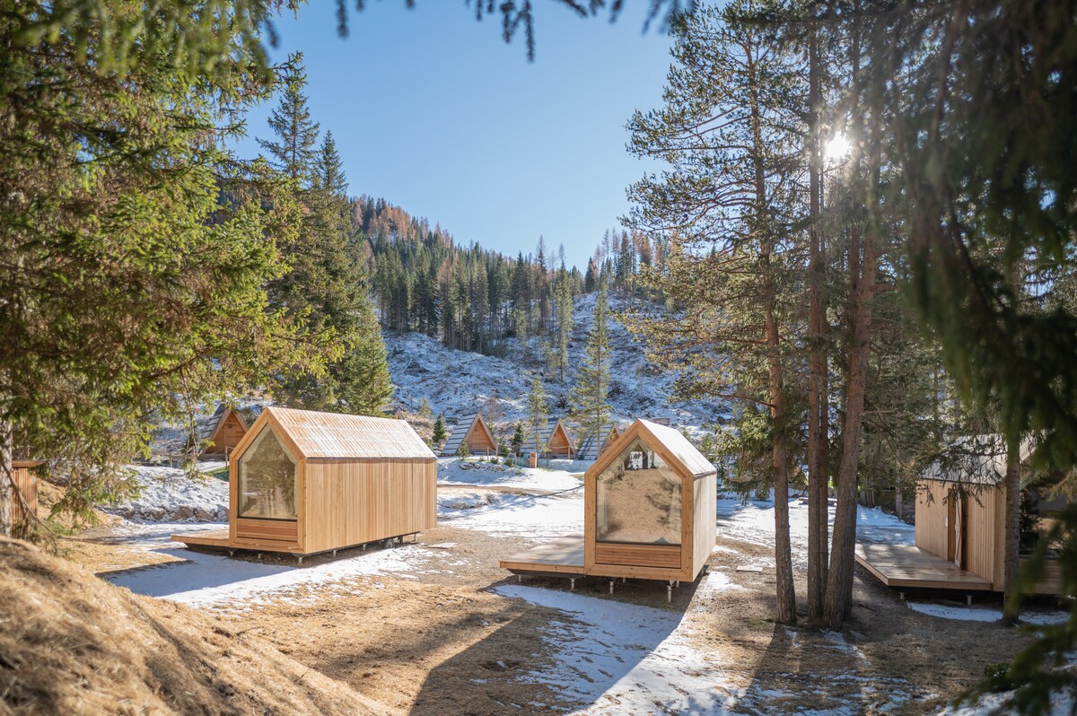 Multiple wooden cabins are nestled among trees, surrounded by a serene natural setting. Each cabin features a sloped roof and large windows, allowing natural light to illuminate the interior. A dusting of snow covers the ground, highlighting the peaceful winter landscape.