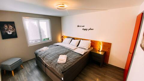 Swiss House with Mountain Views!