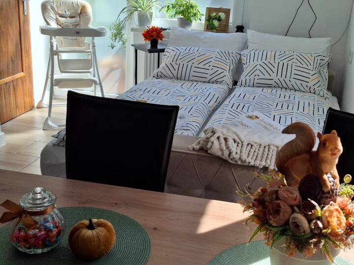 Josephine Apartment - Subotica