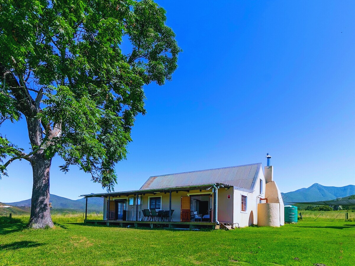 A charming single-story house is situated amidst green grass, framed by a large tree. Under a clear blue sky, the structure features a covered porch with multiple seating options, contributing to the serene outdoor setting.