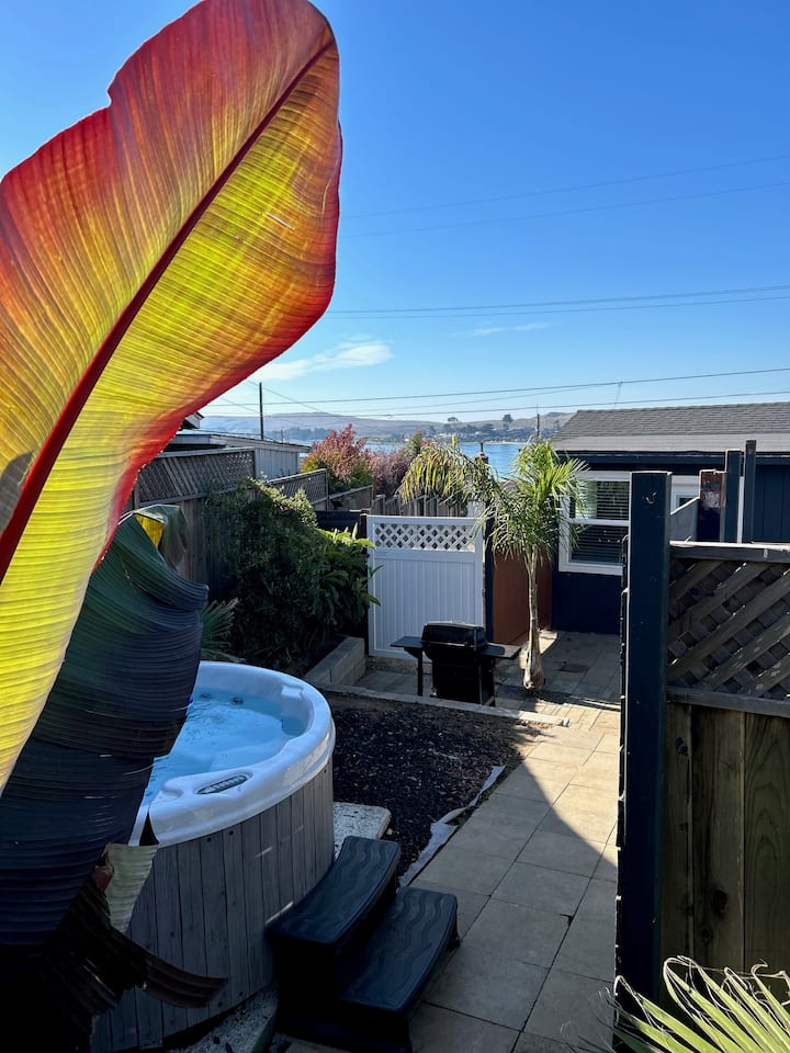 Peek A Bay View Cottage - Bodega Bay, CA
