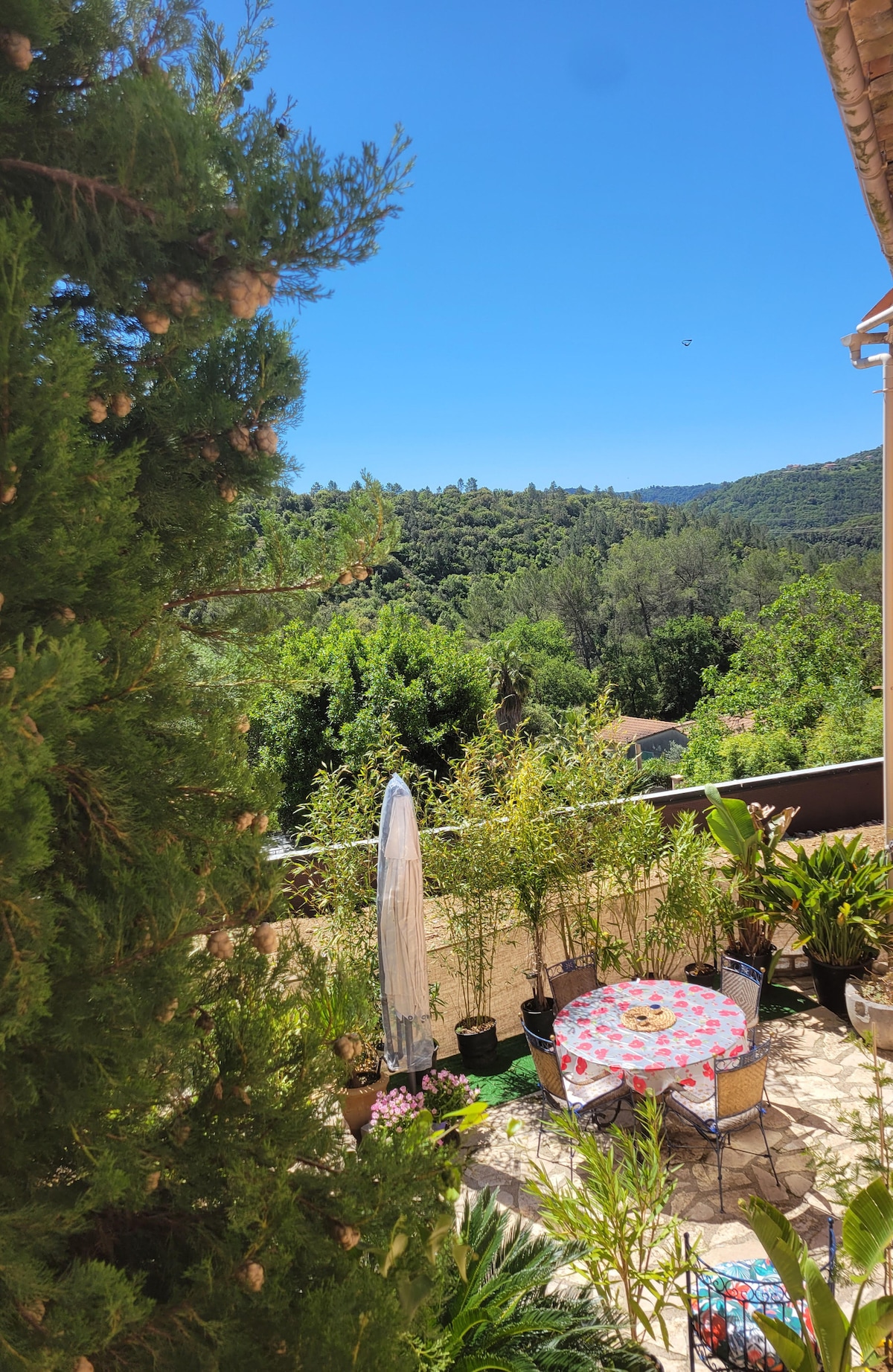 A private terrace is displayed, featuring a round table adorned with a floral tablecloth. Surrounding greenery adds a natural backdrop, with potted plants enhancing the serene environment. A clear blue sky is visible, suggesting a bright and inviting outdoor space.