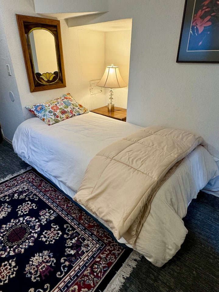 Un dormitorio acogedor con una cama nido en el nivel inferior.