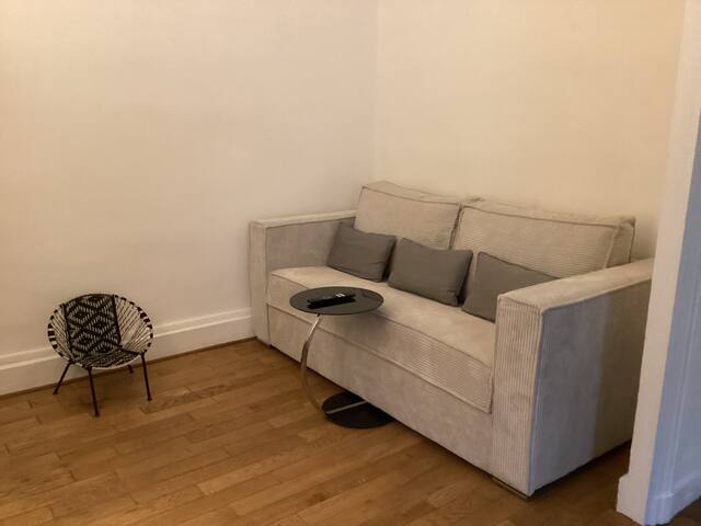 Le Roosevelt, appartement 100m2, dans le 6ème . gallery image 3