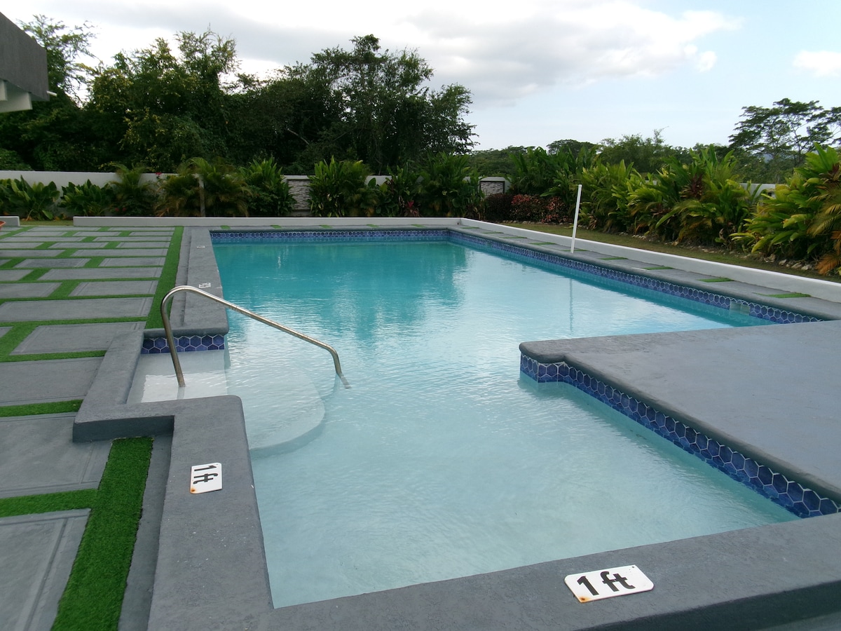 A modern swimming pool is surrounded by lush greenery. The shallow end is marked clearly with a depth indicator. The pool's edges feature a decorative tile border, and a single set of stairs provides access to the water.