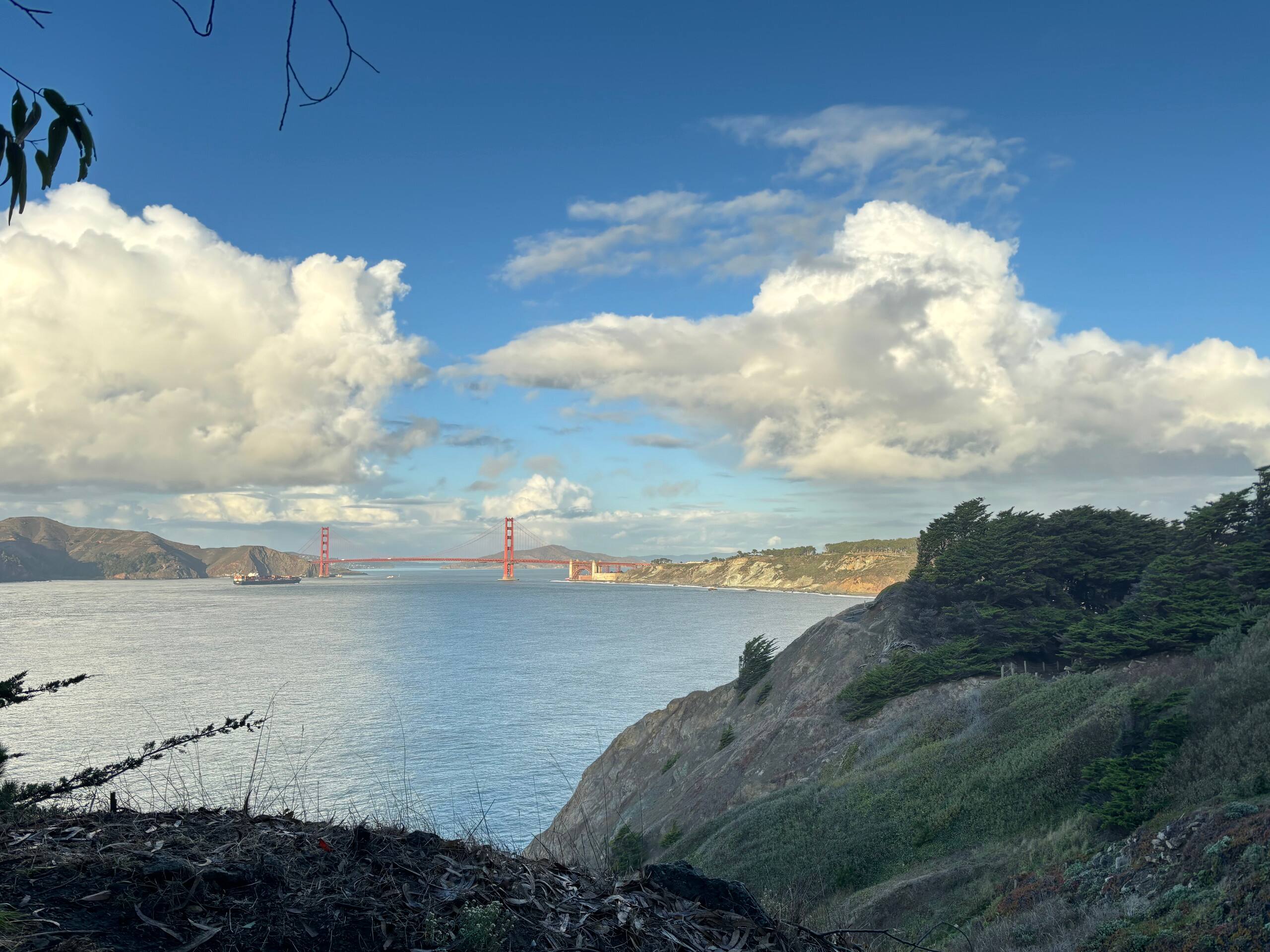 Home in San Francisco · ★4.97 · 1 bedroom · 2 beds · 1 bath - Image 29