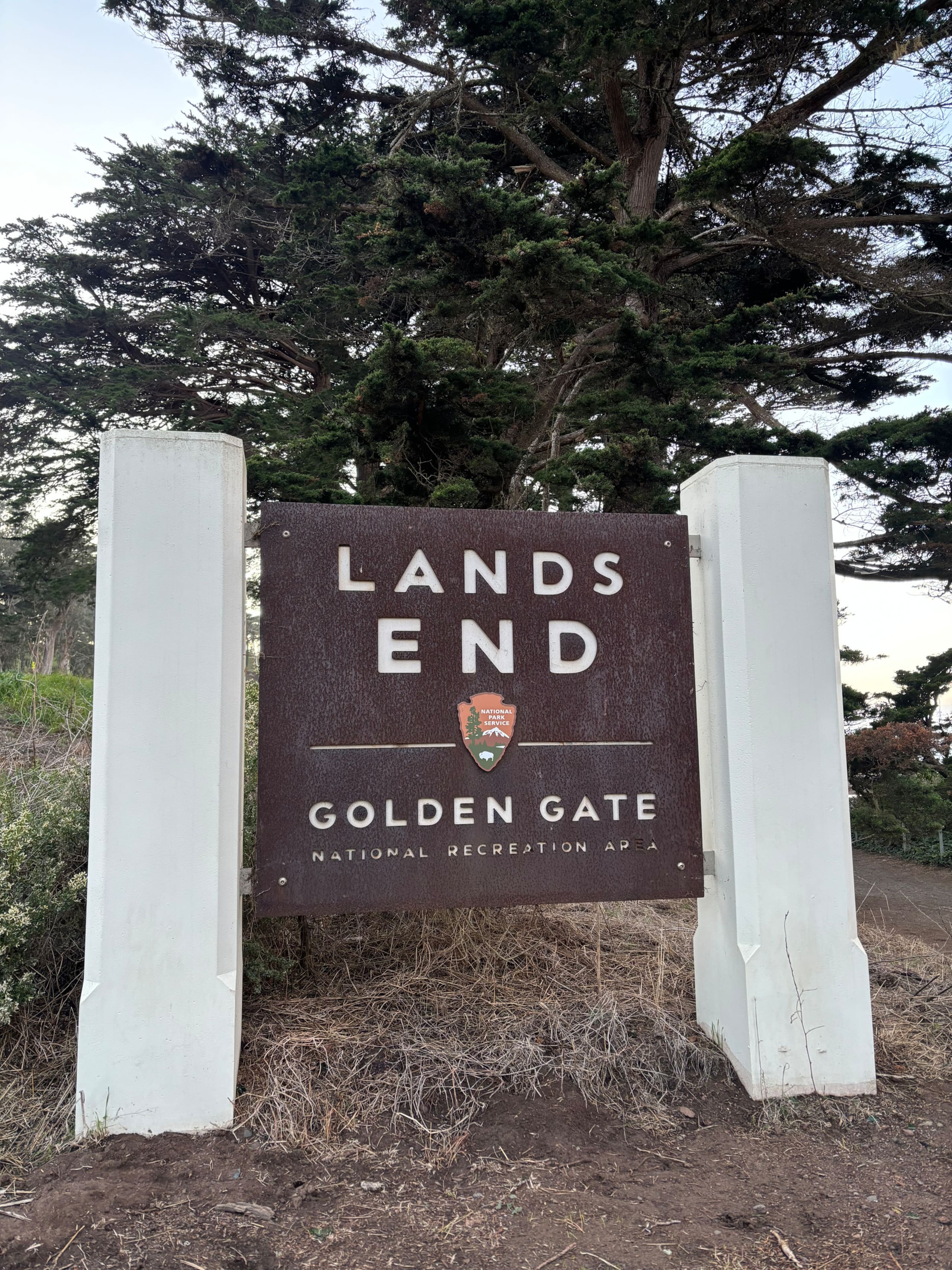 Home in San Francisco · ★4.97 · 1 bedroom · 2 beds · 1 bath - Image 28