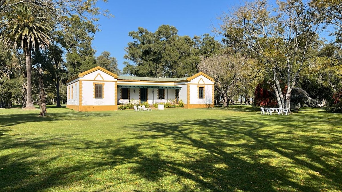A wide view of a single-story house is presented, surrounded by a well-maintained lawn. The building features a light-colored facade with yellow accents and multiple windows. Several white outdoor chairs are visible on the grassy area, under the clear blue sky and scattered trees.